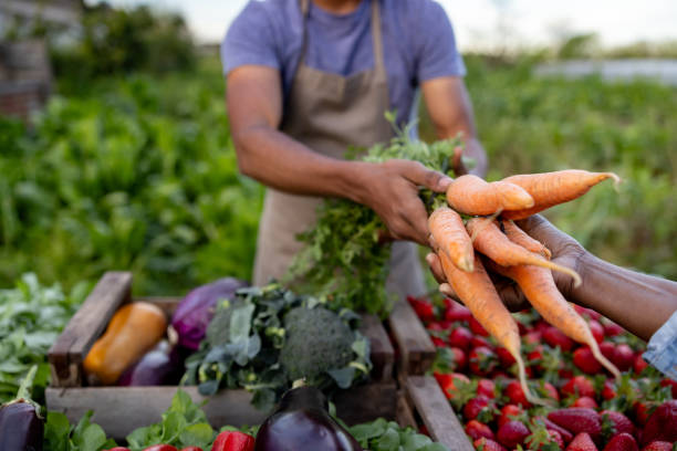 Sustainable Agriculture