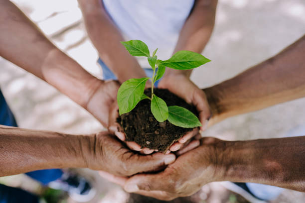 Environmental Conservation