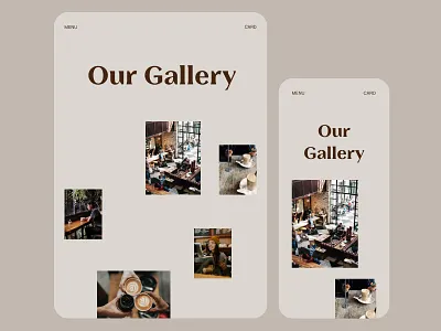 Chereber CBO Gallery Background